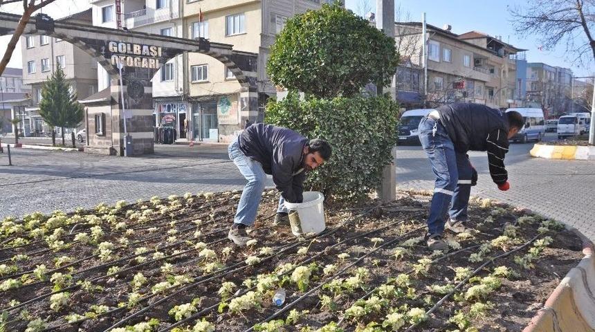 G&ouml;lbaşı İl&ccedil;esinde Peyzaj &Ccedil;alışmaları Devam Ediyor
