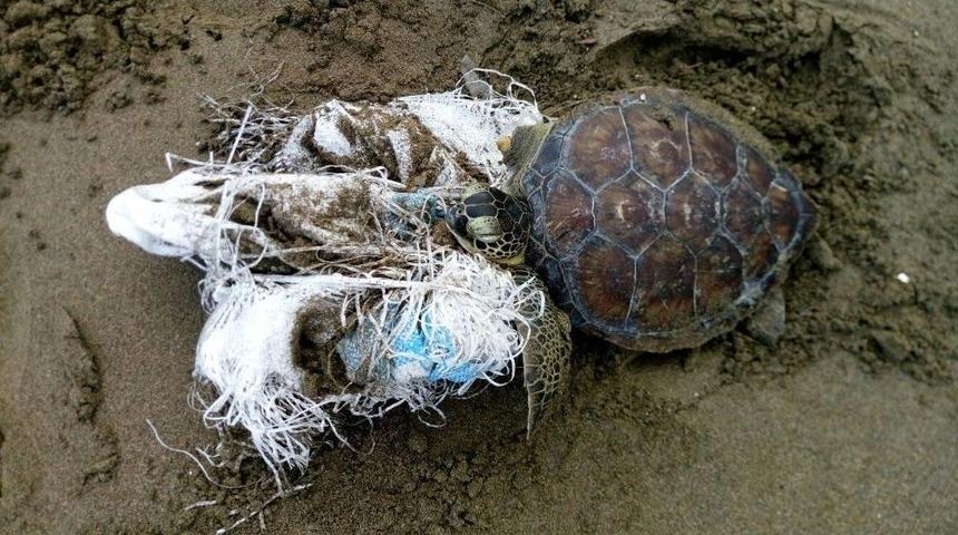 Hayata Tek Y&uuml;zge&ccedil;le Devam Edecek