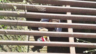 Düştüğü Su Kanalında Mahsur Kalan Yavru Köpeği İtfaiye Kurtardı