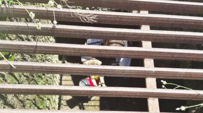 D&uuml;şt&uuml;ğ&uuml; Su Kanalında Mahsur Kalan Yavru K&ouml;peği İtfaiye Kurtardı