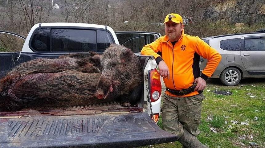 Avcılar Yaban Domuzlarına Ge&ccedil;it Vermiyor