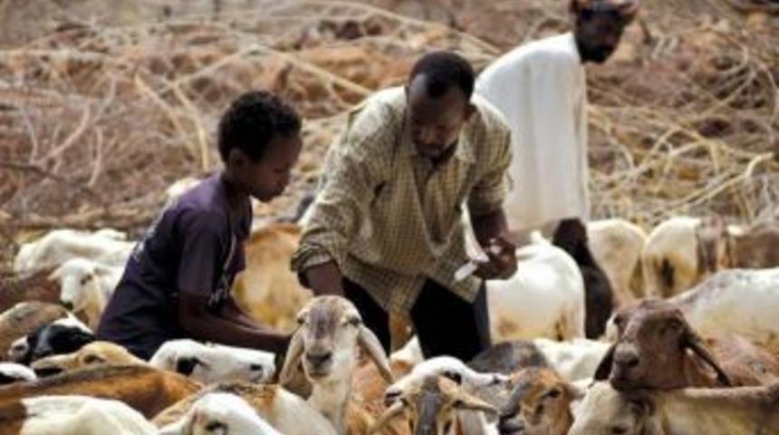 Fao: "26 &Uuml;lkede A&ccedil;lıkla M&uuml;cadele İ&ccedil;in 1 Milyar Dolar Yardım Gerekli"