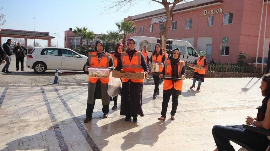 Kadınlardan Zeytin Dalı Harekatına Tam Destek