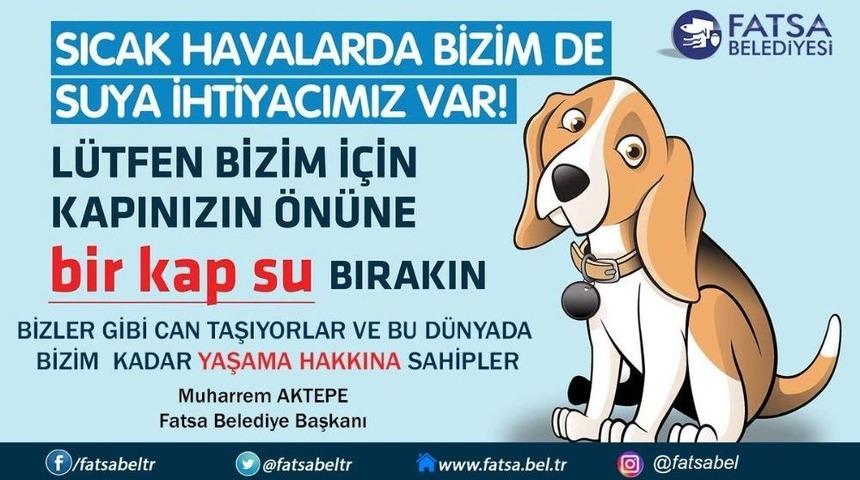 Başkan Aktepe&rsquo;den Sokak Hayvanları İ&ccedil;in &rsquo;bir Kap Su&rsquo; &Ccedil;ağrısı