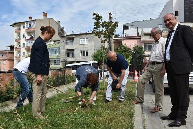 5 Yılda 3 Bin Fidan Yetiştiren Personele ‘başarı Belgesi’