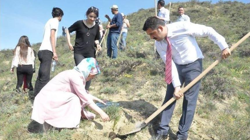 Sungurlu&rsquo;da 750 Fidan Toprakla Buluştu