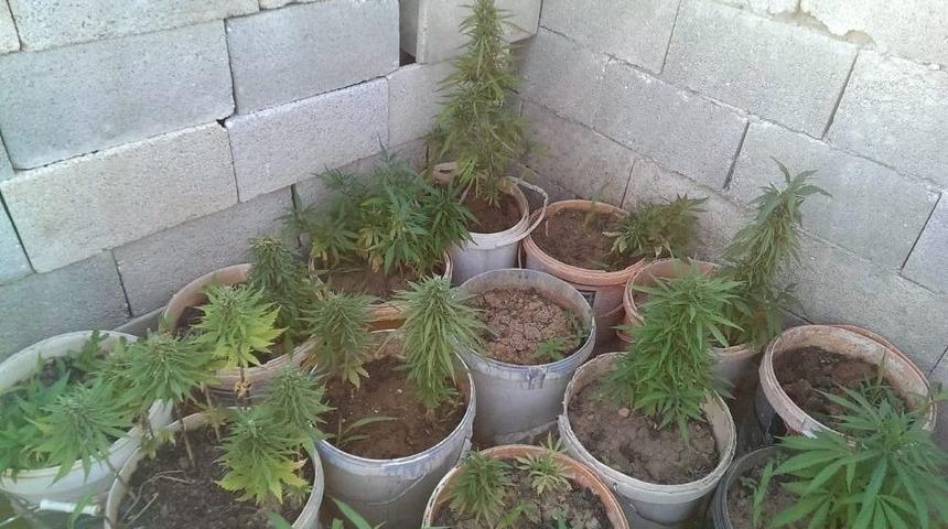 Gaziantep&rsquo;te Uyuşturucu Operasyonu: 4 G&ouml;zaltı