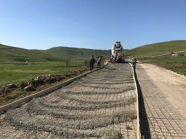 Ordu’da Yeşil Yol’da Yaylalar Birleşiyor