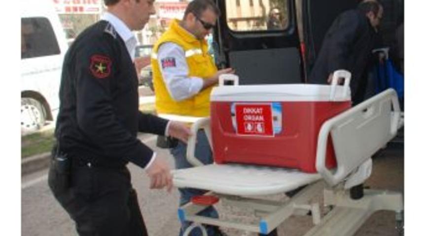 Ordu Organ Bağışına Soğuk
