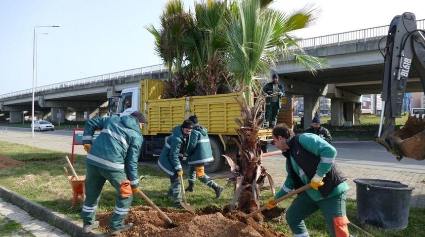 B&uuml;y&uuml;kşehir Belediyesi Ağa&ccedil; Dikimine Devam Ediyor