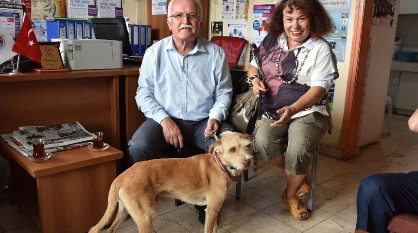 Belediye Başkanının Hayvan Sevgisi