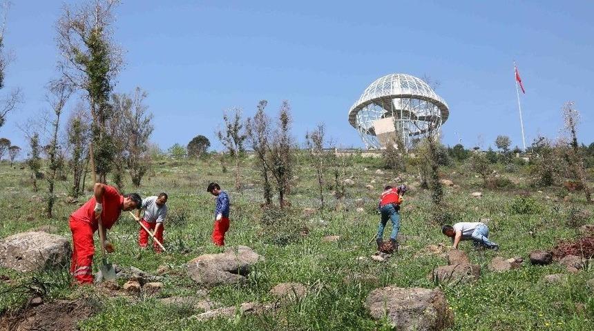 Bayraklı&rsquo;da Ağa&ccedil;landırma Seferberliği