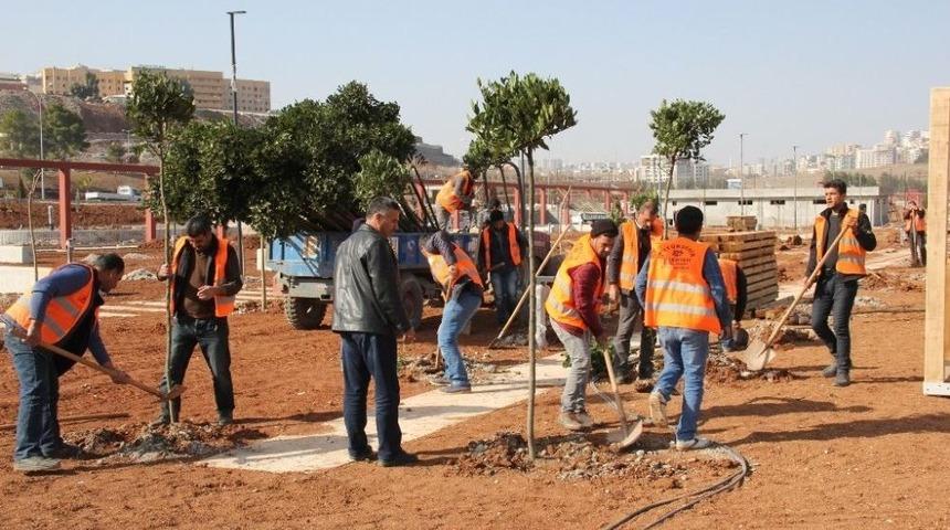 Yeşil Bir Şanlıurfa İ&ccedil;in 7&rsquo;den 70&rsquo;e Seferberlik
