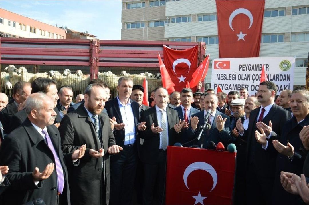 Kırıkkaleli Koyun Yetiştiricilerinden Zeytin Dalı&rsquo;na Destek