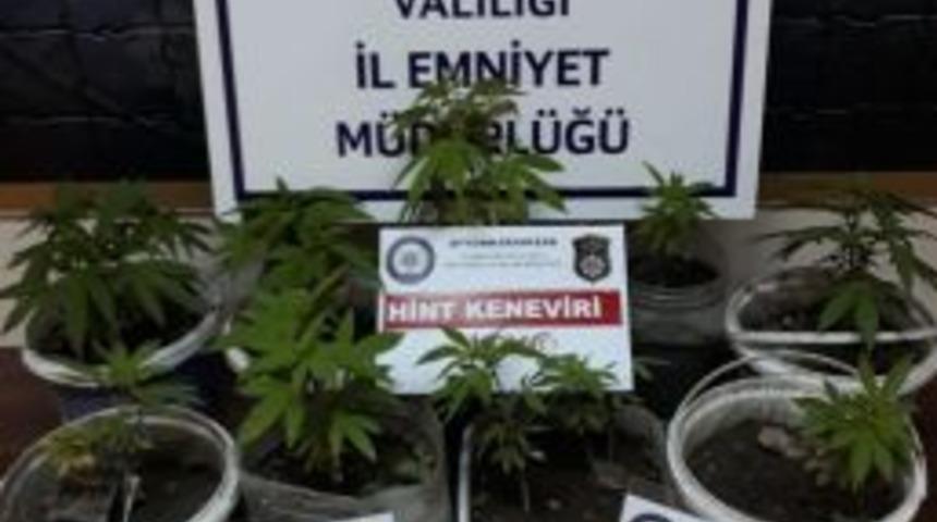 Afgan Uyruklu Şahsın Evinde &Ccedil;ok Miktarda Uyuşturucu Madde Gele Ge&ccedil;irildi