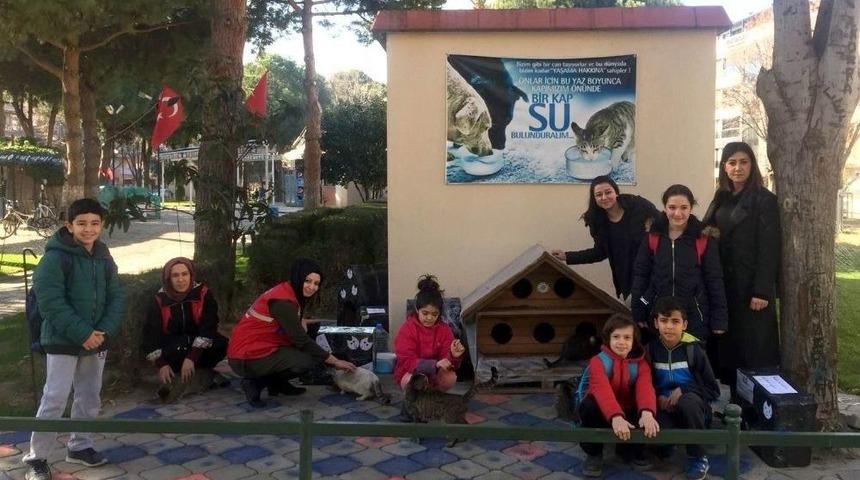 Sokak Kedileri İ&ccedil;in &rsquo;kedi Evi&rsquo;