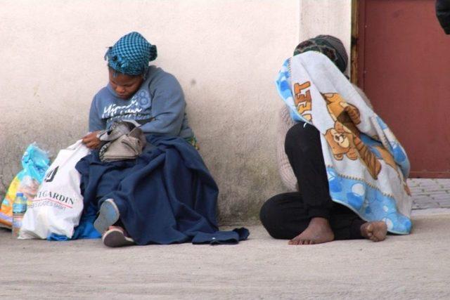 Ayvalık’ta 50 Kaçak Yakalandı