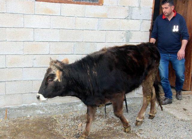 Erzurum’da Trajikomik Olay