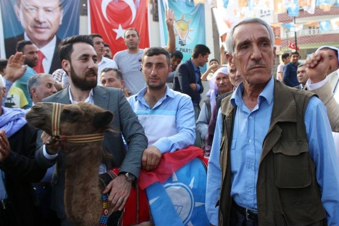 Develeriyle Gezerek Erdoğan İ&ccedil;in Destek İstiyor