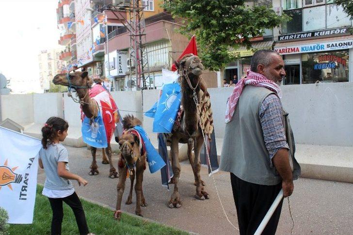 Develeriyle Gezerek Erdoğan İçin Destek İstiyor G2