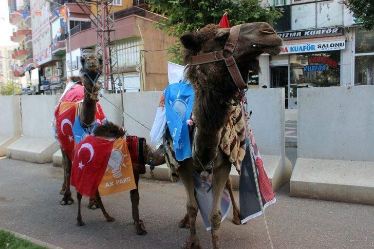 Develeriyle Gezerek Erdoğan İçin Destek İstiyor G3