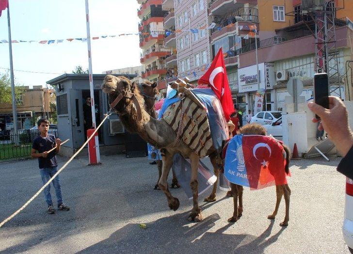 Develeriyle Gezerek Erdoğan İçin Destek İstiyor G5