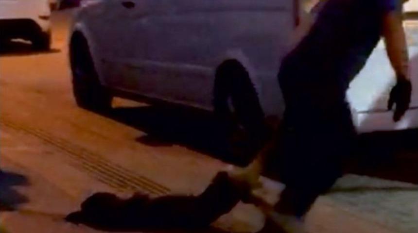 Valilik O Köpeğin Görüntüleriyle İlgili Soruşturma Başlattı