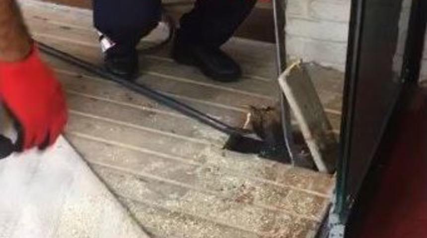 Döşemenin Altına Sıkışan Kedi Kurtarıldı