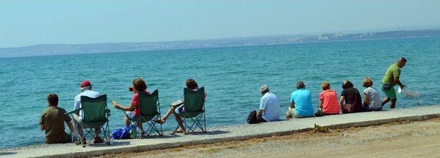 Didim’de Balık Ekmek Şenliğine Büyük İlgi