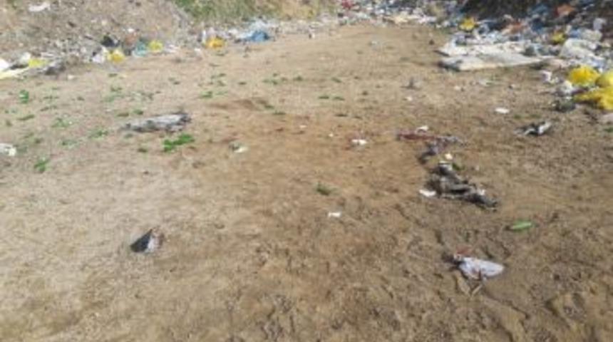 Yabani Hayvan Saldırısına Uğrayan Bir Kişi Ağır Yaralandı