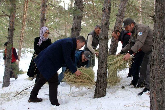 Gümüşhane’de Gençler İyilik Yapmaya Devam Ediyor