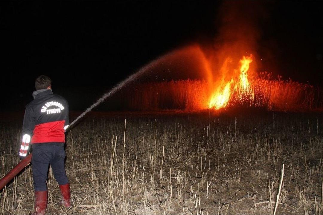 Sazlık Alanda Yangın