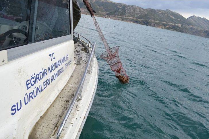 Eğirdir Gölü’nde Kaçak Avlanan 78 Ton Kerevitin Yarısı Canlı Kurtarıldı G2
