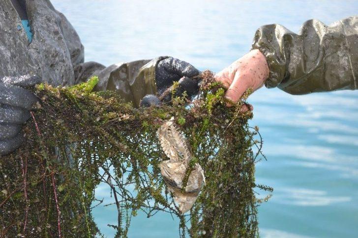 Eğirdir Gölü’nde Kaçak Avlanan 78 Ton Kerevitin Yarısı Canlı Kurtarıldı G3
