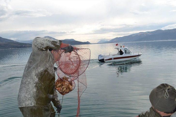 Eğirdir Gölü’nde Kaçak Avlanan 78 Ton Kerevitin Yarısı Canlı Kurtarıldı G4