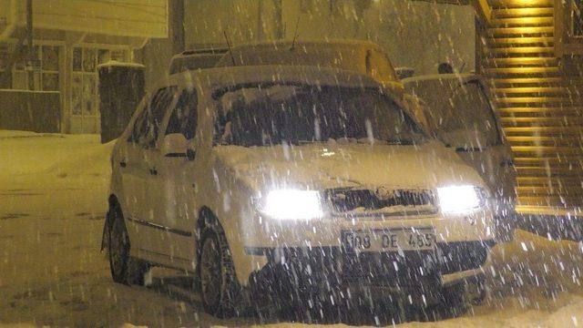 Ardahan Beyaza B&uuml;r&uuml;nd&uuml; 2