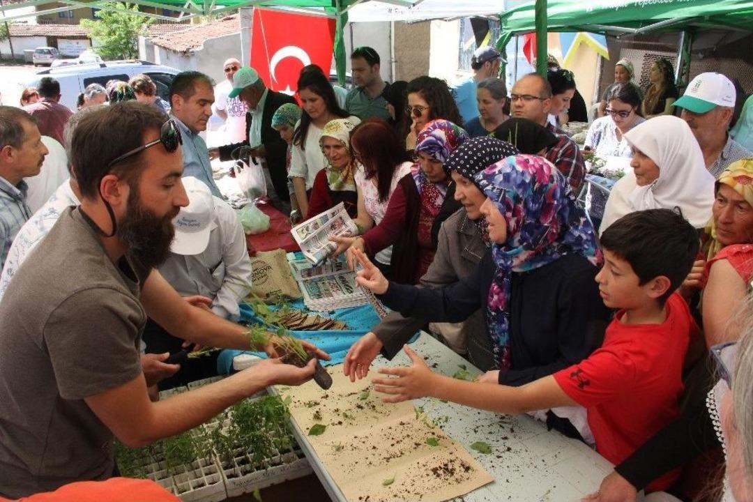 Yakakayı&rsquo;da Yerel Tohum Ve Fide Takas Şenliği