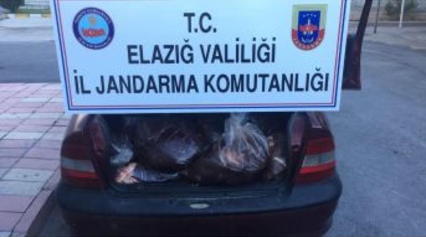 Elazığ’da 500 Kilo Kaçak Sakatat Ele Geçirildi