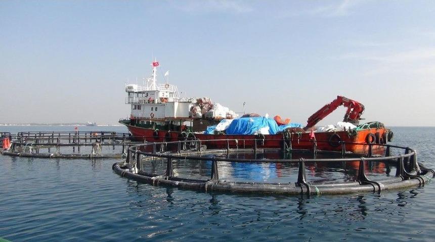 Silifke Sahilindeki Balık &Ccedil;iftlikleri Kaldırıldı