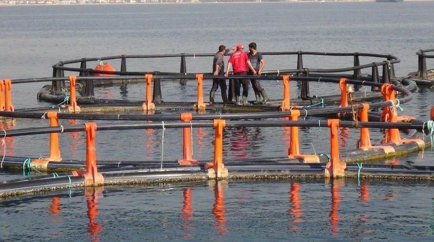 Mersin Valiliği&rsquo;nden &rsquo;balık &Ccedil;iftlikleri&rsquo; A&ccedil;ıklaması