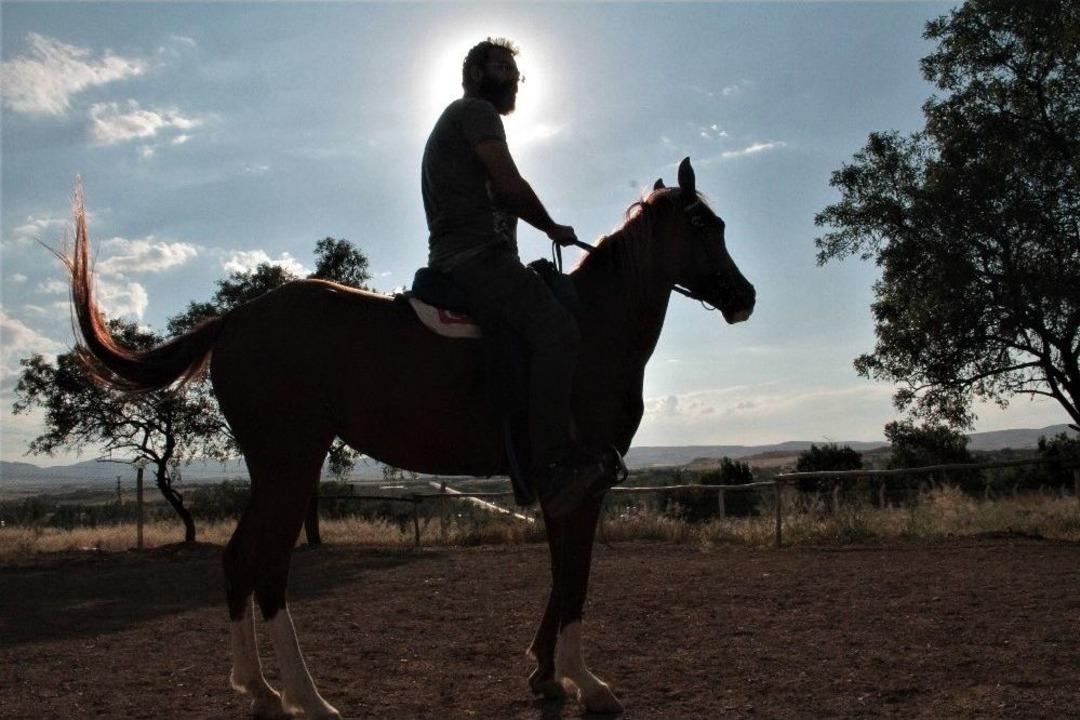 M&uuml;d&uuml;rl&uuml;ğ&uuml; Bıraktı, At &Ccedil;iftliği A&ccedil;tı