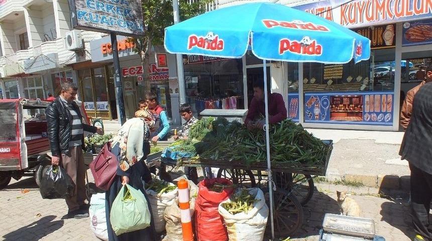 Antibiyotik İla&ccedil;lardan Şifalı Bitkilere Y&ouml;neldiler