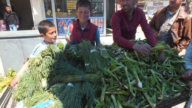 Antibiyotik İlaçlardan Şifalı Bitkilere Yöneldiler 1