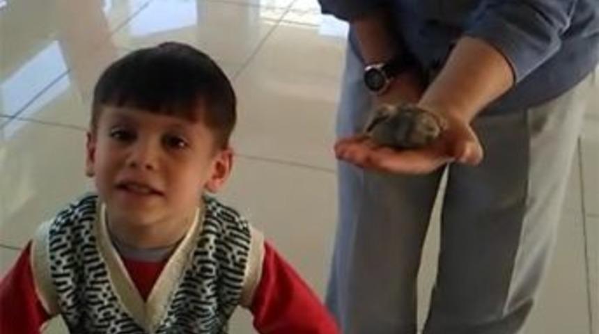 5 Yaşındaki &Ccedil;ocuk Yavru Kuşun Hayatını Kurtardı