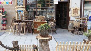 Kurumuş Ağaç Dallarına Şekil Veriyor