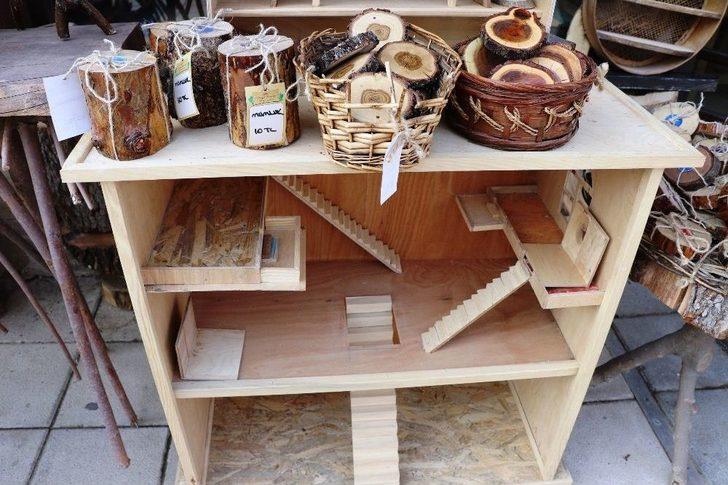 Kurumuş Ağaç Dallarına Şekil Veriyor G1