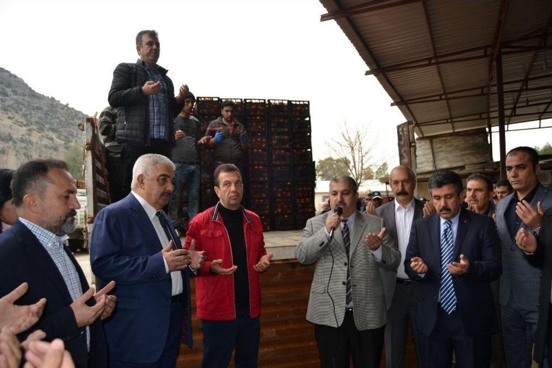 Adana&rsquo;dan Mehmet&ccedil;iğe 60 Ton Portakal
