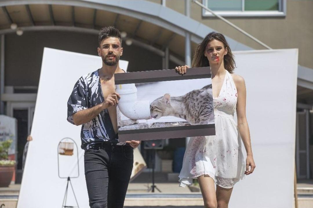 Hayvanlar İ&ccedil;in Dikkat &Ccedil;eken Defile