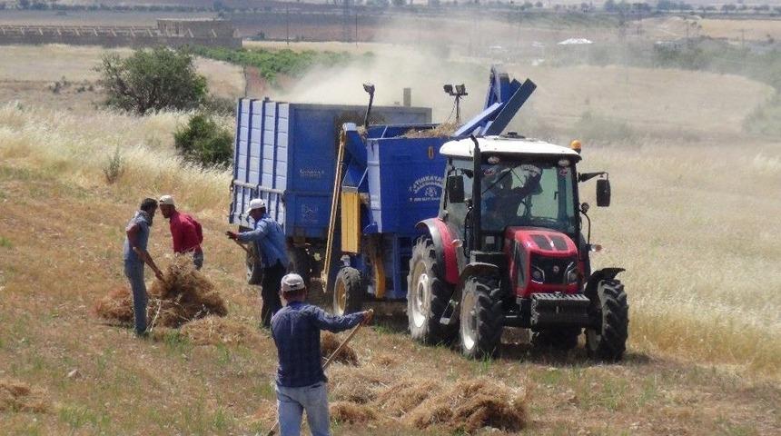 Gerc&uuml;ş&rsquo;te Saman Fiyatı Y&uuml;kselince &Ccedil;ift&ccedil;iler Kendi Samanlarını &Uuml;retmeye Başladı
