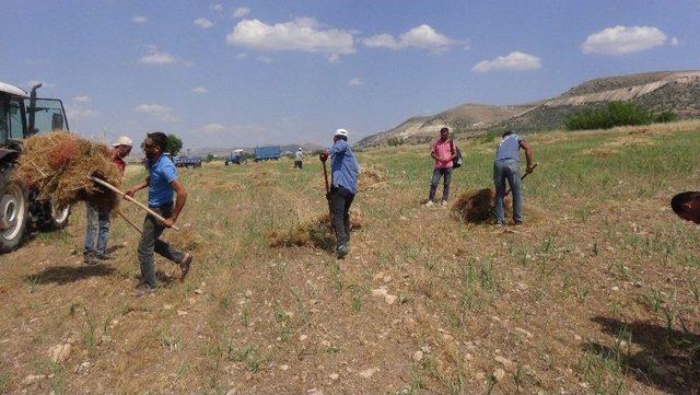 Gercüş’te Saman Fiyatı Yükselince Çiftçiler Kendi Samanlarını Üretmeye Başladı